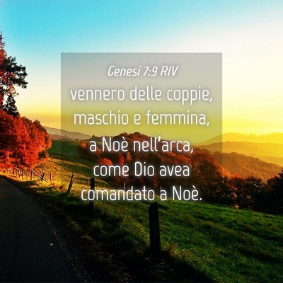 Picture 04 - Genesi 7:9 RIV - vennero delle coppie, maschio e femmina, a Noè - Bible Verse Picture