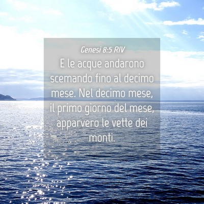 Picture 04 - Genesi 8:5 RIV - E le acque andarono scemando fino al decimo mese. - Bible Verse Picture