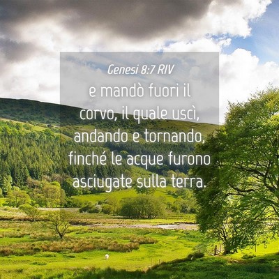 Picture 04 - Genesi 8:7 RIV - e mandò fuori il corvo, il quale uscì, andando - Bible Verse Picture