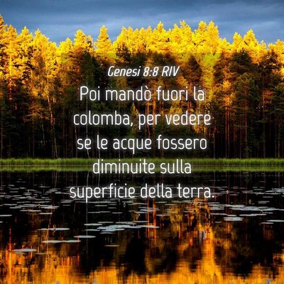 Picture 04 - Genesi 8:8 RIV - Poi mandò fuori la colomba, per vedere se le - Bible Verse Picture