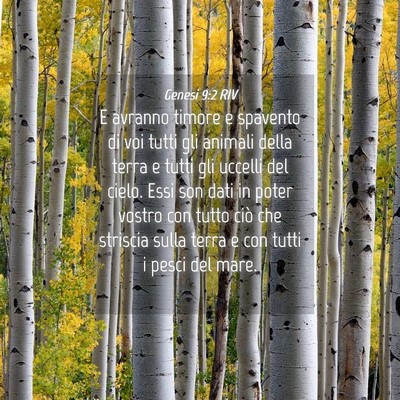 Picture 04 - Genesi 9:2 RIV - E avranno timore e spavento di voi tutti gli - Bible Verse Picture