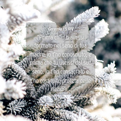 Picture 04 - Geremia 1:5 RIV - “Prima ch’io ti avessi formato nel seno di - Bible Verse Picture