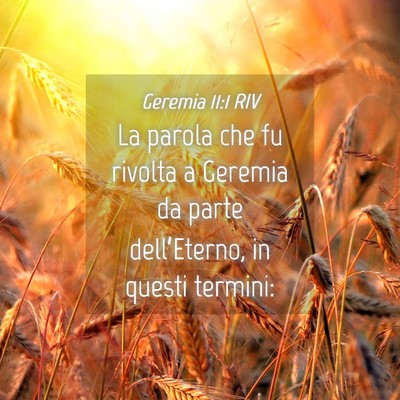 Picture 04 - Geremia 11:1 RIV - La parola che fu rivolta a Geremia da parte - Bible Verse Picture