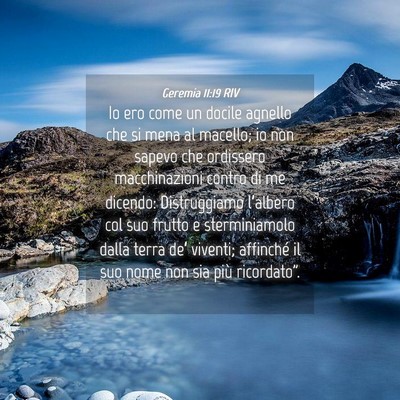 Picture 04 - Geremia 11:19 RIV - Io ero come un docile agnello che si mena al - Bible Verse Picture