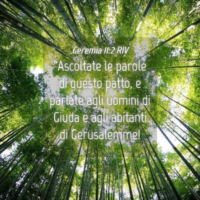Picture 04 - Geremia 11:2 RIV - “Ascoltate le parole di questo patto, e parlate - Bible Verse Picture