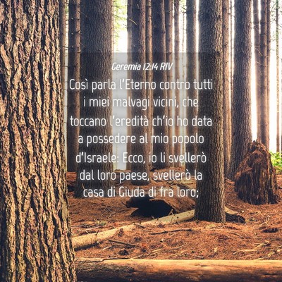 Picture 04 - Geremia 12:14 RIV - Così parla l’Eterno contro tutti i miei - Bible Verse Picture