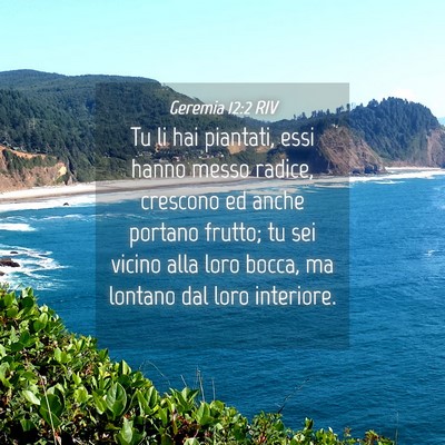 Picture 04 - Geremia 12:2 RIV - Tu li hai piantati, essi hanno messo radice, - Bible Verse Picture
