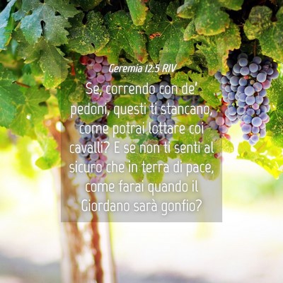 Picture 04 - Geremia 12:5 RIV - Se, correndo con de’ pedoni, questi ti - Bible Verse Picture