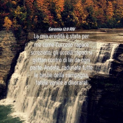 Picture 04 - Geremia 12:9 RIV - La mia eredità è stata per me come l’uccello - Bible Verse Picture