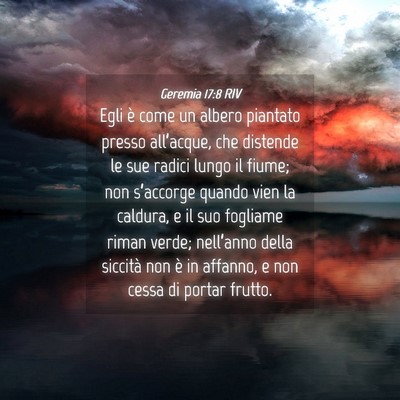 Picture 04 - Geremia 17:8 RIV - Egli è come un albero piantato presso - Bible Verse Picture
