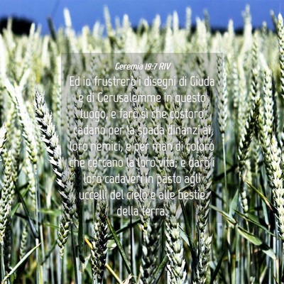 Picture 04 - Geremia 19:7 RIV - Ed io frustrerò i disegni di Giuda e di - Bible Verse Picture