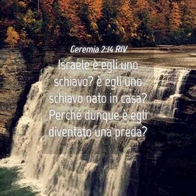 Picture 04 - Geremia 2:14 RIV - Israele è egli uno schiavo? è egli uno schiavo - Bible Verse Picture