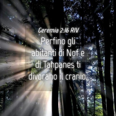 Picture 04 - Geremia 2:16 RIV - Perfino gli abitanti di Nof e di Tahpanes ti - Bible Verse Picture