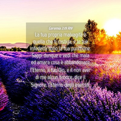 Picture 04 - Geremia 2:19 RIV - La tua propria malvagità è quella che ti - Bible Verse Picture