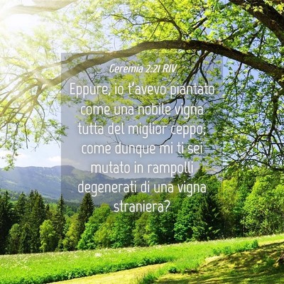 Picture 04 - Geremia 2:21 RIV - Eppure, io t’avevo piantato come una nobile - Bible Verse Picture