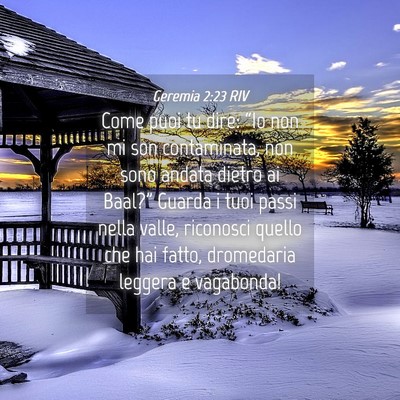Picture 04 - Geremia 2:23 RIV - Come puoi tu dire: “Io non mi son contaminata, - Bible Verse Picture
