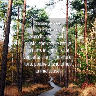 Picture 04 - Geremia 20:12 RIV - Ma, o Eterno degli eserciti, che provi il giusto, - Bible Verse Picture