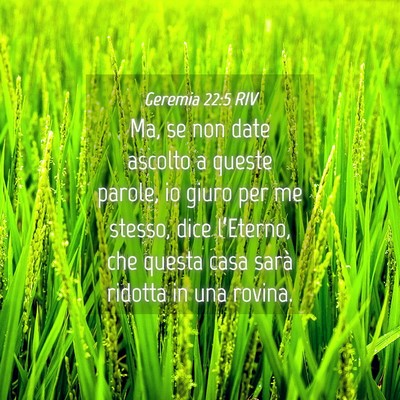 Picture 04 - Geremia 22:5 RIV - Ma, se non date ascolto a queste parole, io giuro - Bible Verse Picture