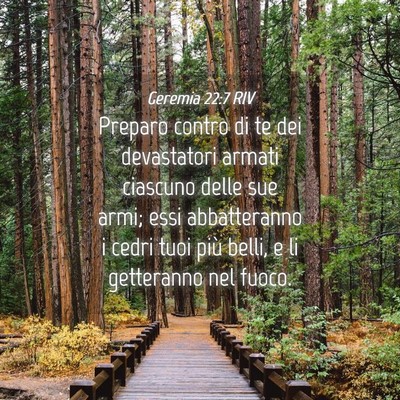 Picture 04 - Geremia 22:7 RIV - Preparo contro di te dei devastatori armati - Bible Verse Picture