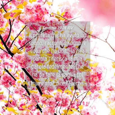Picture 04 - Geremia 23:28 RIV - Il profeta che ha avuto un sogno, racconti il - Bible Verse Picture