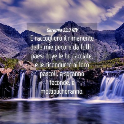 Picture 04 - Geremia 23:3 RIV - E raccoglierò il rimanente delle mie pecore da - Bible Verse Picture