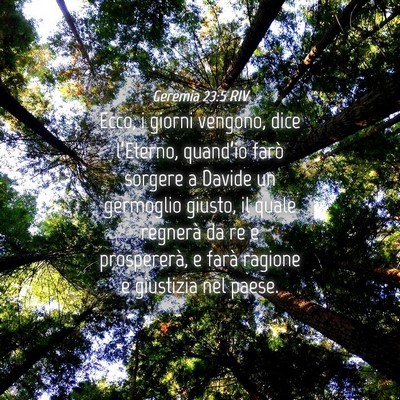 Picture 04 - Geremia 23:5 RIV - Ecco, i giorni vengono, dice l’Eterno, - Bible Verse Picture