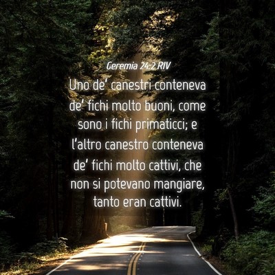 Picture 04 - Geremia 24:2 RIV - Uno de’ canestri conteneva de’ fichi molto - Bible Verse Picture