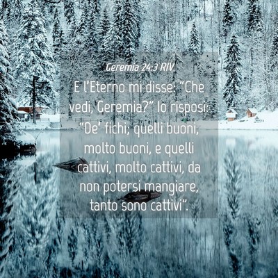 Picture 04 - Geremia 24:3 RIV - E l’Eterno mi disse: “Che vedi, Geremia?” - Bible Verse Picture