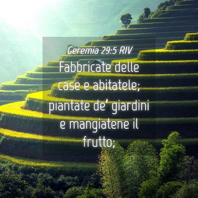 Picture 04 - Geremia 29:5 RIV - Fabbricate delle case e abitatele; piantate de’ - Bible Verse Picture