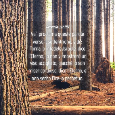 Picture 04 - Geremia 3:12 RIV - Va’, proclama queste parole verso il - Bible Verse Picture