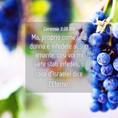 Picture 04 - Geremia 3:20 RIV - Ma, proprio come una donna è infedele al suo - Bible Verse Picture