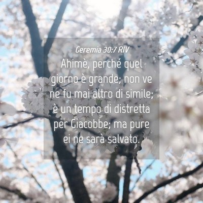 Picture 04 - Geremia 30:7 RIV - Ahimè, perché quel giorno è grande; non ve ne - Bible Verse Picture