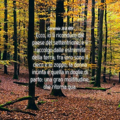 Picture 04 - Geremia 31:8 RIV - Ecco, io li riconduco dal paese del settentrione, - Bible Verse Picture