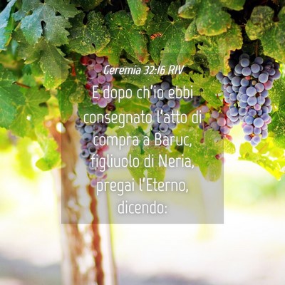 Picture 04 - Geremia 32:16 RIV - E dopo ch’io ebbi consegnato l’atto di compra - Bible Verse Picture