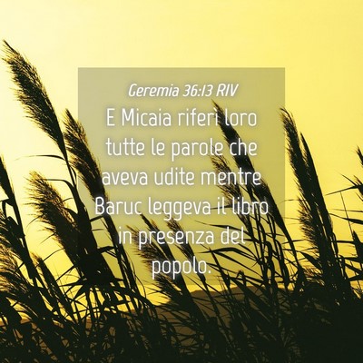 Picture 04 - Geremia 36:13 RIV - E Micaia riferì loro tutte le parole che aveva - Bible Verse Picture