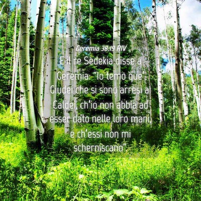 Picture 04 - Geremia 38:19 RIV - E il re Sedekia disse a Geremia: “Io temo - Bible Verse Picture