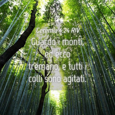 Picture 04 - Geremia 4:24 RIV - Guardo i monti, ed ecco tremano, e tutti i colli - Bible Verse Picture
