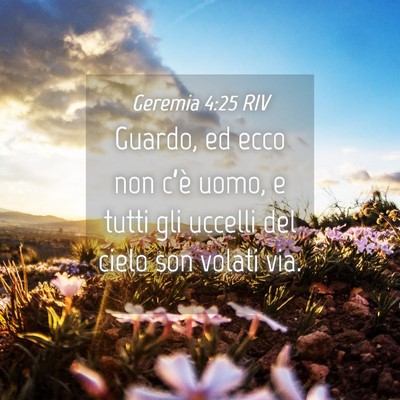 Picture 04 - Geremia 4:25 RIV - Guardo, ed ecco non c’è uomo, e tutti gli - Bible Verse Picture