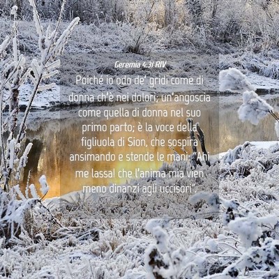 Picture 04 - Geremia 4:31 RIV - Poiché io odo de’ gridi come di donna ch’è - Bible Verse Picture