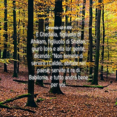 Picture 04 - Geremia 40:9 RIV - E Ghedalia, figliuolo di Ahikam, figliuolo di - Bible Verse Picture