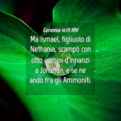 Picture 04 - Geremia 41:15 RIV - Ma Ismael, figliuolo di Nethania, scampò con - Bible Verse Picture