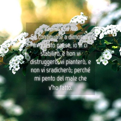 Picture 04 - Geremia 42:10 RIV - Se continuate a dimorare in questo paese, io vi - Bible Verse Picture