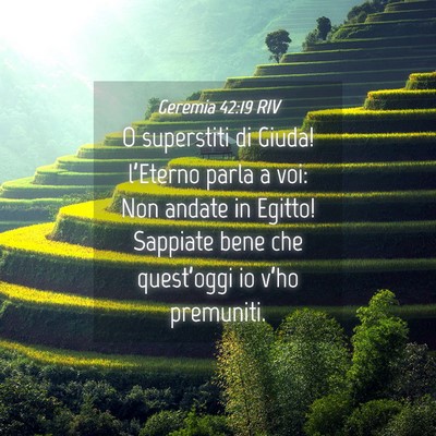 Picture 04 - Geremia 42:19 RIV - O superstiti di Giuda! l’Eterno parla a voi: - Bible Verse Picture