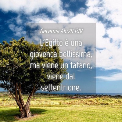 Picture 04 - Geremia 46:20 RIV - L’Egitto è una giovenca bellissima, ma viene - Bible Verse Picture