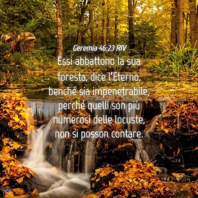 Picture 04 - Geremia 46:23 RIV - Essi abbattono la sua foresta, dice l’Eterno, - Bible Verse Picture
