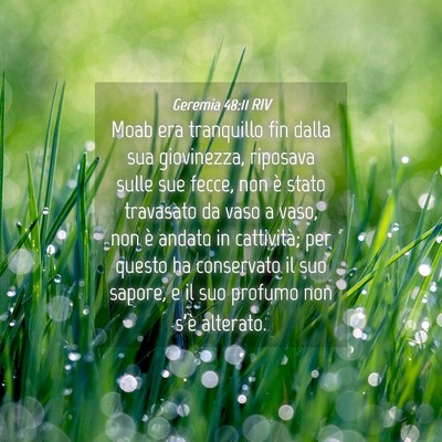 Picture 04 - Geremia 48:11 RIV - Moab era tranquillo fin dalla sua giovinezza, - Bible Verse Picture