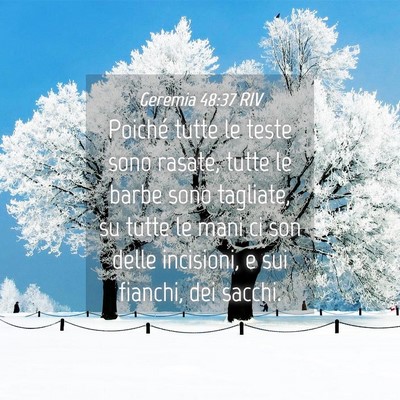 Picture 04 - Geremia 48:37 RIV - Poiché tutte le teste sono rasate, tutte le - Bible Verse Picture