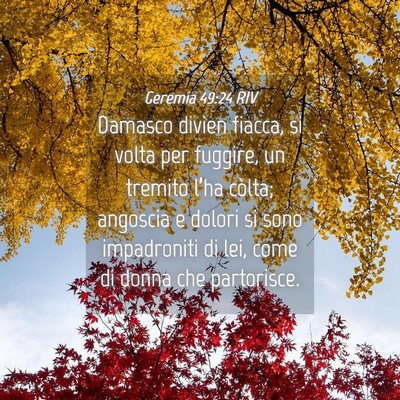 Picture 04 - Geremia 49:24 RIV - Damasco divien fiacca, si volta per fuggire, un - Bible Verse Picture