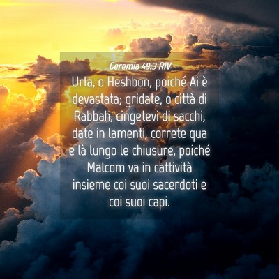 Picture 04 - Geremia 49:3 RIV - Urla, o Heshbon, poiché Ai è devastata; - Bible Verse Picture