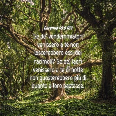 Picture 04 - Geremia 49:9 RIV - Se de’ vendemmiatori venissero a te non - Bible Verse Picture